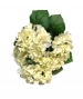 Bouquet X 5 ortensia