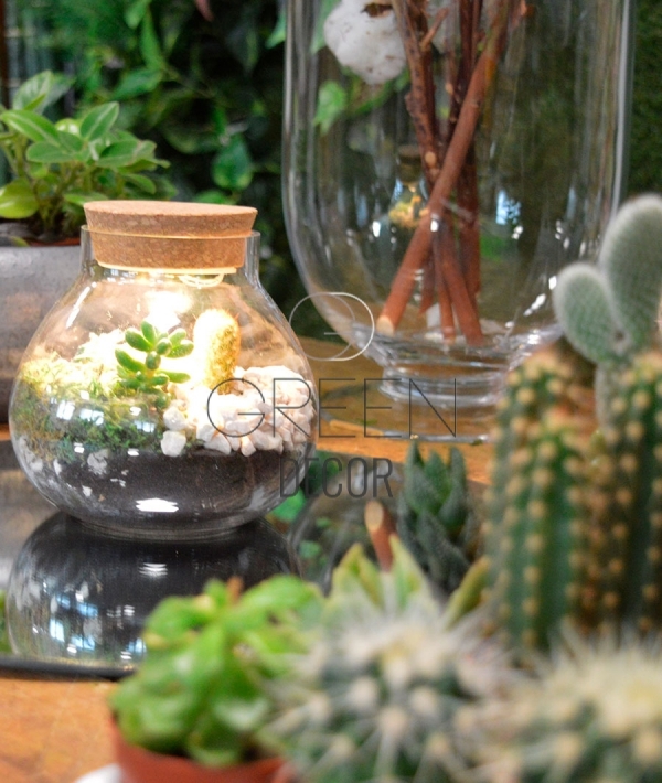 Barattolo in vetro con tappo cactus in porcellana 